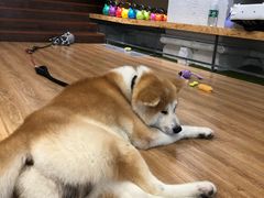-YCHL Studios健身工作室(市二宫店)