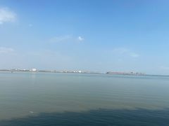 -大湾区中央湿地公园