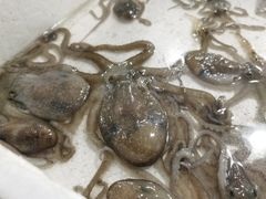 -西门岛码头海鲜馆