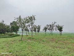 -洋湖国家湿地公园