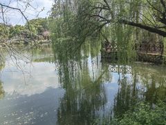 -雨湖公园