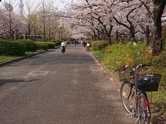 -帝京日语(春熙路旗舰校区)