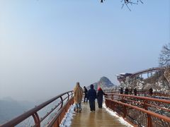 -少华山国家森林公园