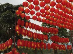 -天适樱花悠乐园