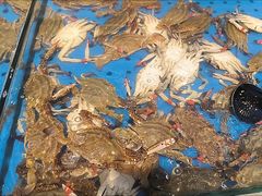 -川骄海鲜自助(河东店)