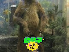 -国家自然博物馆