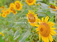 -北京奥林匹克公园