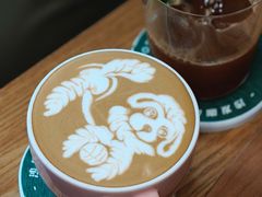 -SAFARI COFFEE