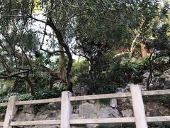 -汇龙潭