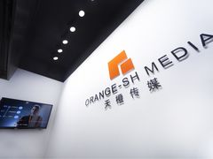 -上海盛视天橙传媒股份有限公司