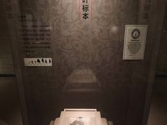 -汉景帝阳陵博物院
