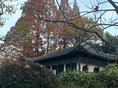 -红梅公园
