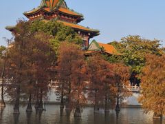 -顺峰山公园