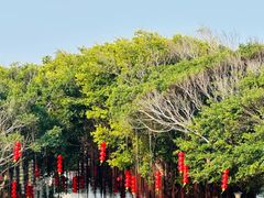 -莆田湄洲妈祖祖庙
