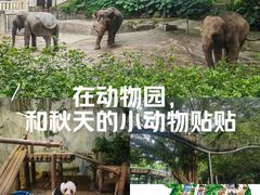 -深圳野生动物园