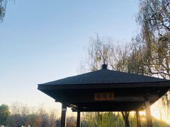 -大兴滨河森林公园