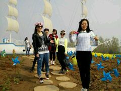 -洛阳郁金香牡丹园