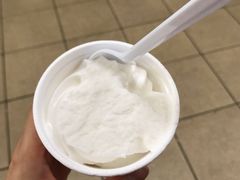 椰子雪糕-洪馨椰子