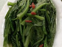 清炒油麦菜-老毛手抓(长城路店)