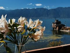 -六阅·福十 FORTEN 海景咖啡西餐厅(双廊古镇店)