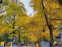 -四川大学(华西校区)