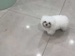 -佳雯宠物医院·皮肤科·内外科(春晓路分院)