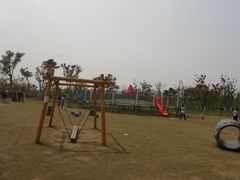 -上海长兴岛郊野公园