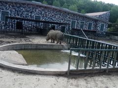 -哈尔滨北方森林动物园