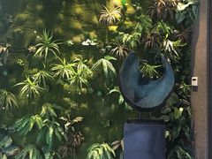 -金色阳光颐养院