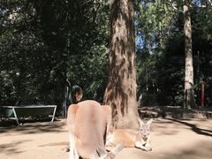 -可伦宾野生动物保护区