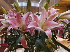 -南堂馆·新川菜(天府三街店)