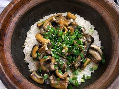 -红星光发煲仔饭(大石街店)