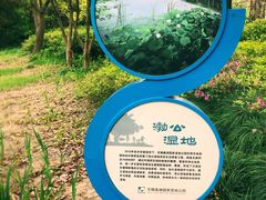-渤公岛生态公园