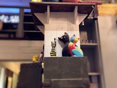 -猫咪博物馆(顶澳仔猫街店)