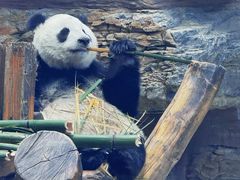 -石家庄市动物园