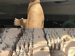 -秦始皇帝陵博物院(兵马俑)