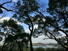 -上海佘山国家森林公园西佘山园