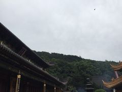 -普陀山风景名胜区-法雨禅寺