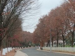 -天河潭旅游度假区