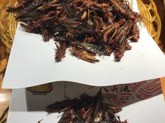 -八大碗·地道东北菜(东陵西路店)