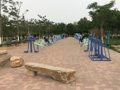 -大港湿地公园
