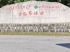 -紫鹊界梯田景区