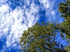 -达美乐比萨(凤凰东街店)