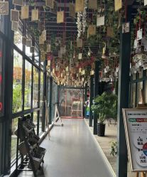 -保丽宝泰母婴护理院·月子中心·产康·中医(常州店)