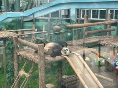 -大连森林动物园