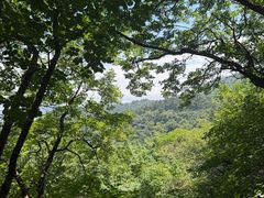 -大芦花风景区