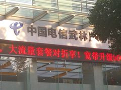 -中国电信(武林广场营业厅)