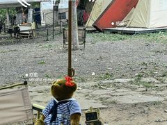 -长白岛森林公园