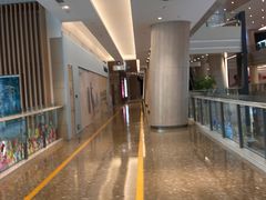 -陈露国际冰上中心(天津嘉里汇店)