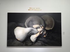 -凤凰中心